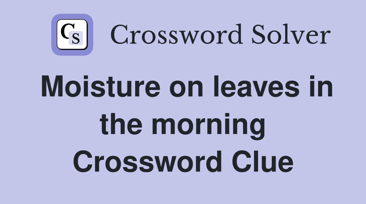 Moisture on leaves in the morning Crossword Clue