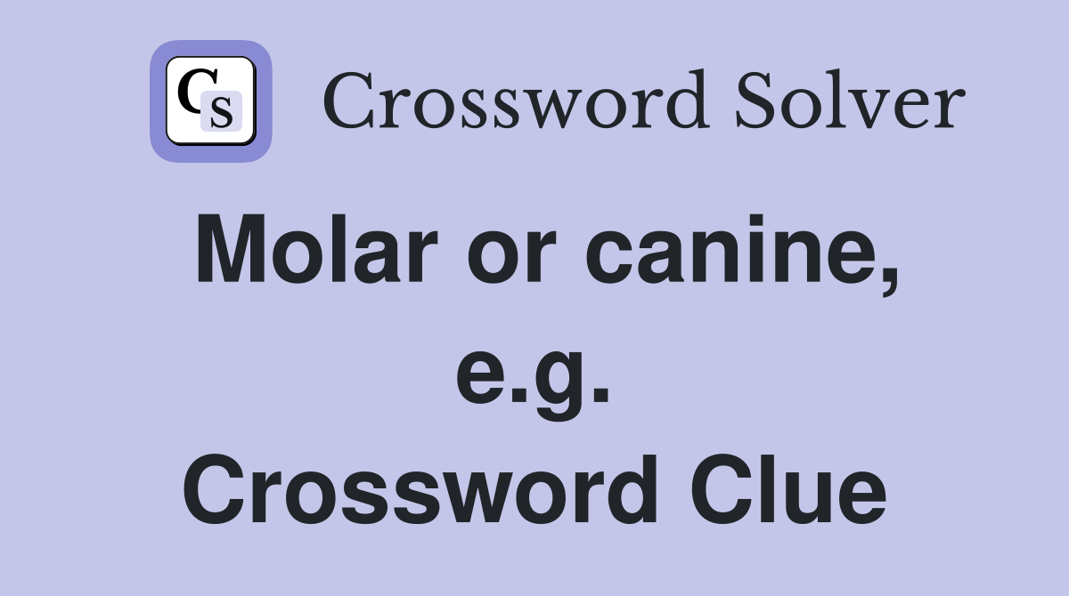 Molar or canine, e.g. Crossword Clue