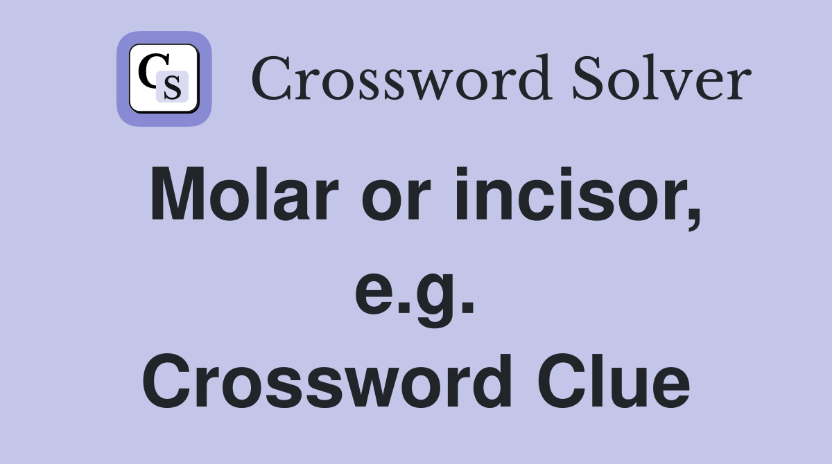 Molar or incisor, e.g. Crossword Clue