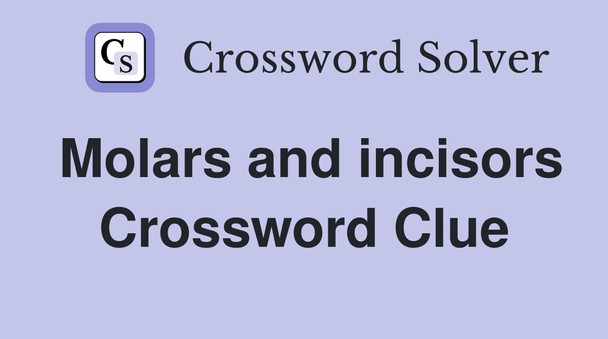 Molars and incisors Crossword Clue