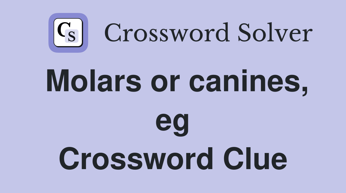 Molars or canines, eg Crossword Clue