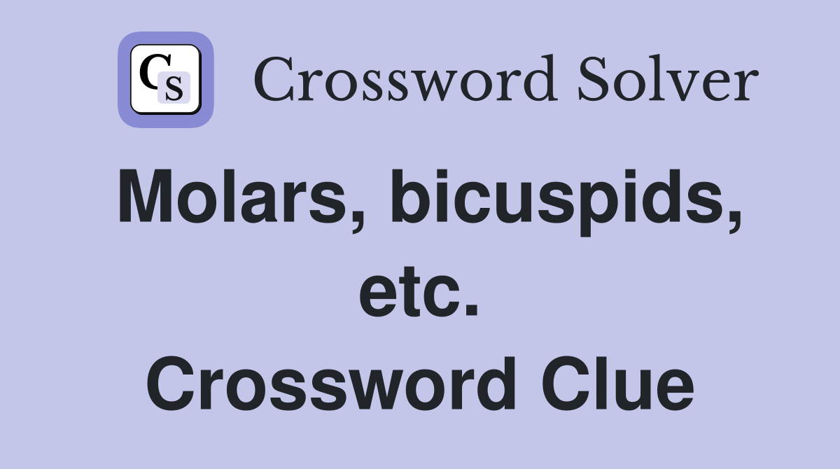 Molars, bicuspids, etc. Crossword Clue