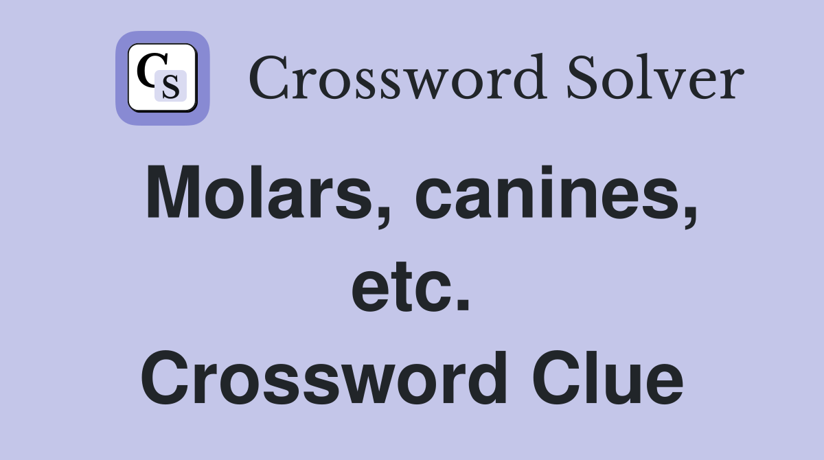 Molars, canines, etc. Crossword Clue