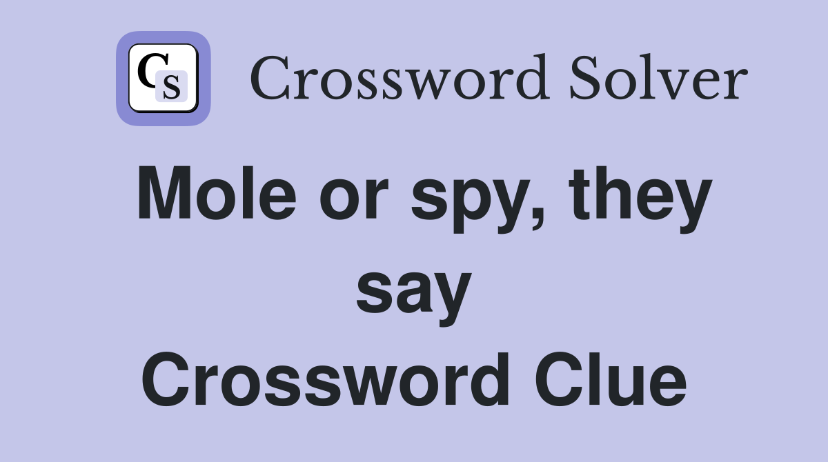 Mole or spy, they say Crossword Clue