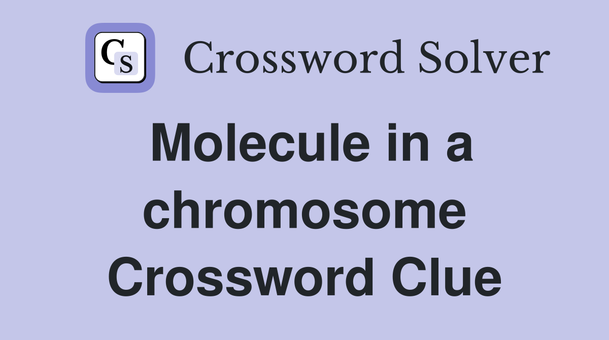 Molecule in a chromosome Crossword Clue