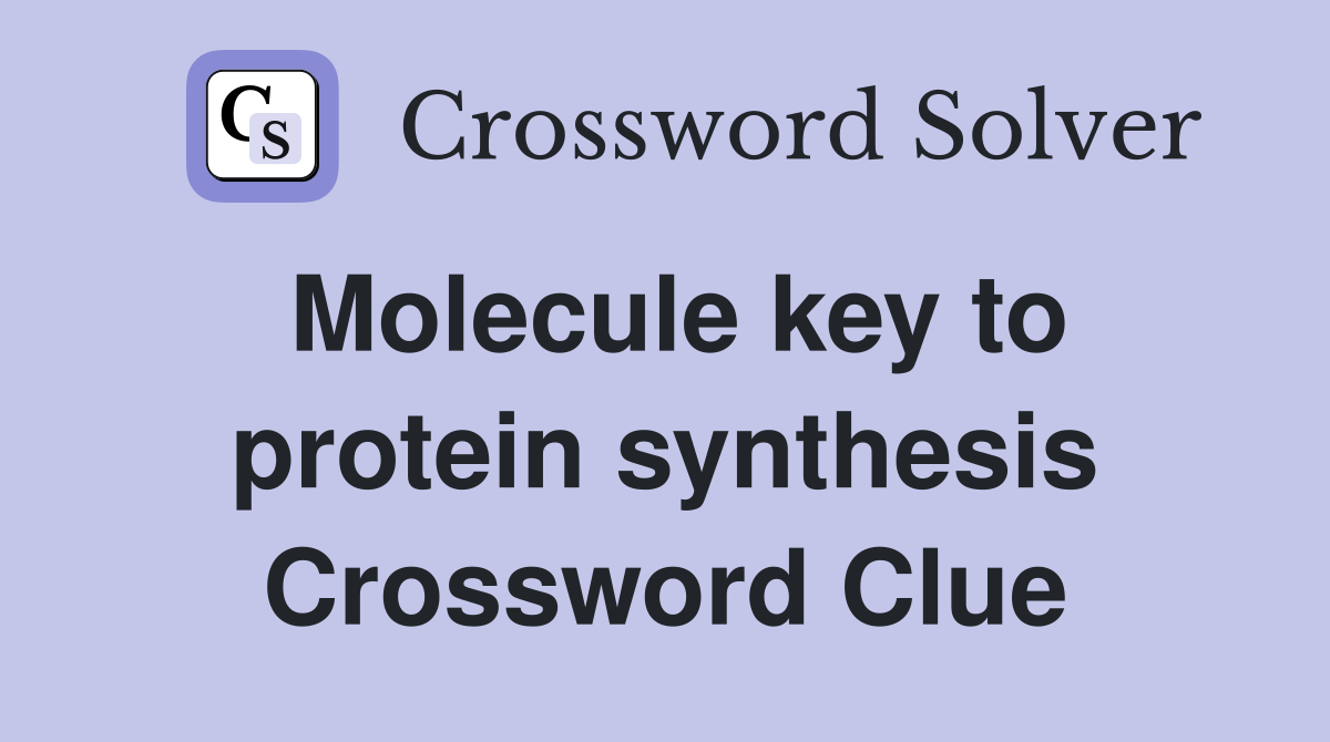 Molecule key to protein synthesis Crossword Clue