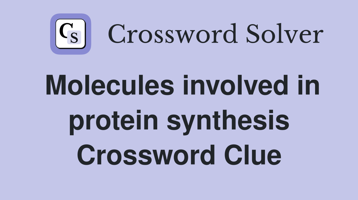 Molecules involved in protein synthesis Crossword Clue