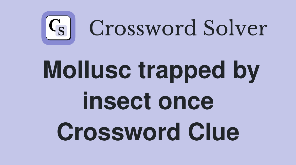 Mollusc trapped by insect once Crossword Clue
