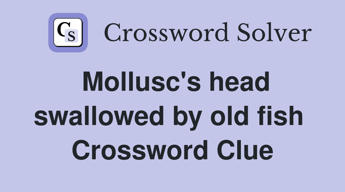 Mollusc's head swallowed by old fish  Crossword Clue