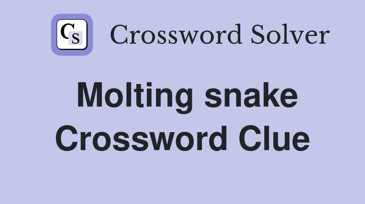 Molting snake Crossword Clue