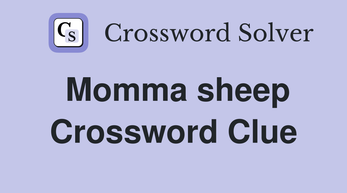 Momma sheep Crossword Clue