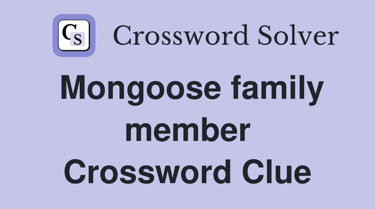 Mongoose family member Crossword Clue