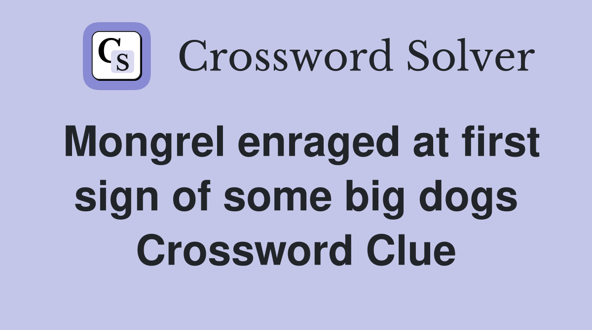 Mongrel enraged at first sign of some big dogs Crossword Clue