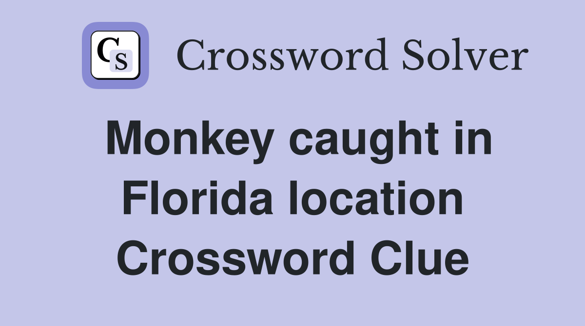 Monkey caught in Florida location Crossword Clue