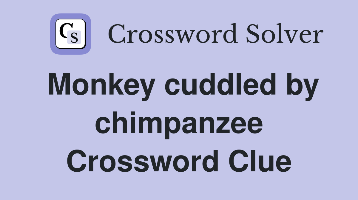 Monkey cuddled by chimpanzee Crossword Clue