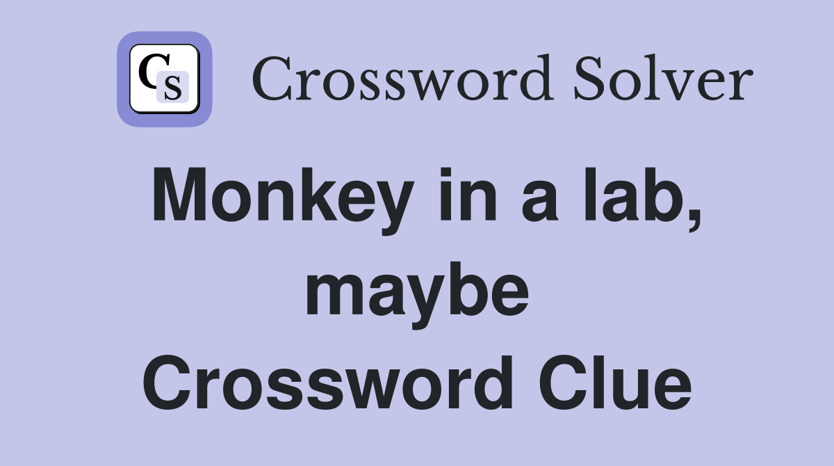 Monkey in a lab, maybe Crossword Clue