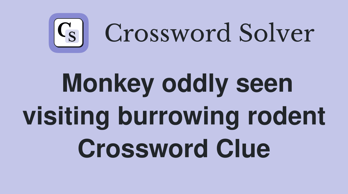 Monkey oddly seen visiting burrowing rodent Crossword Clue