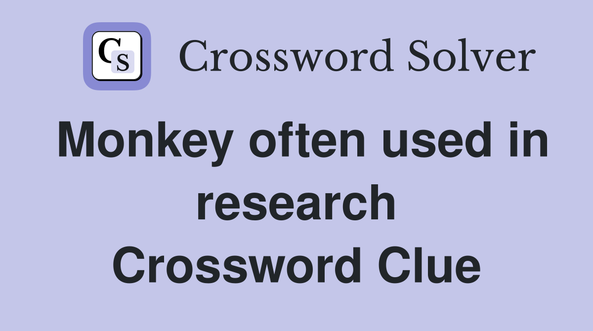 Monkey often used in research Crossword Clue