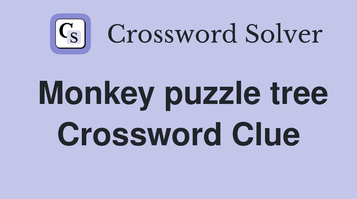Monkey puzzle tree Crossword Clue