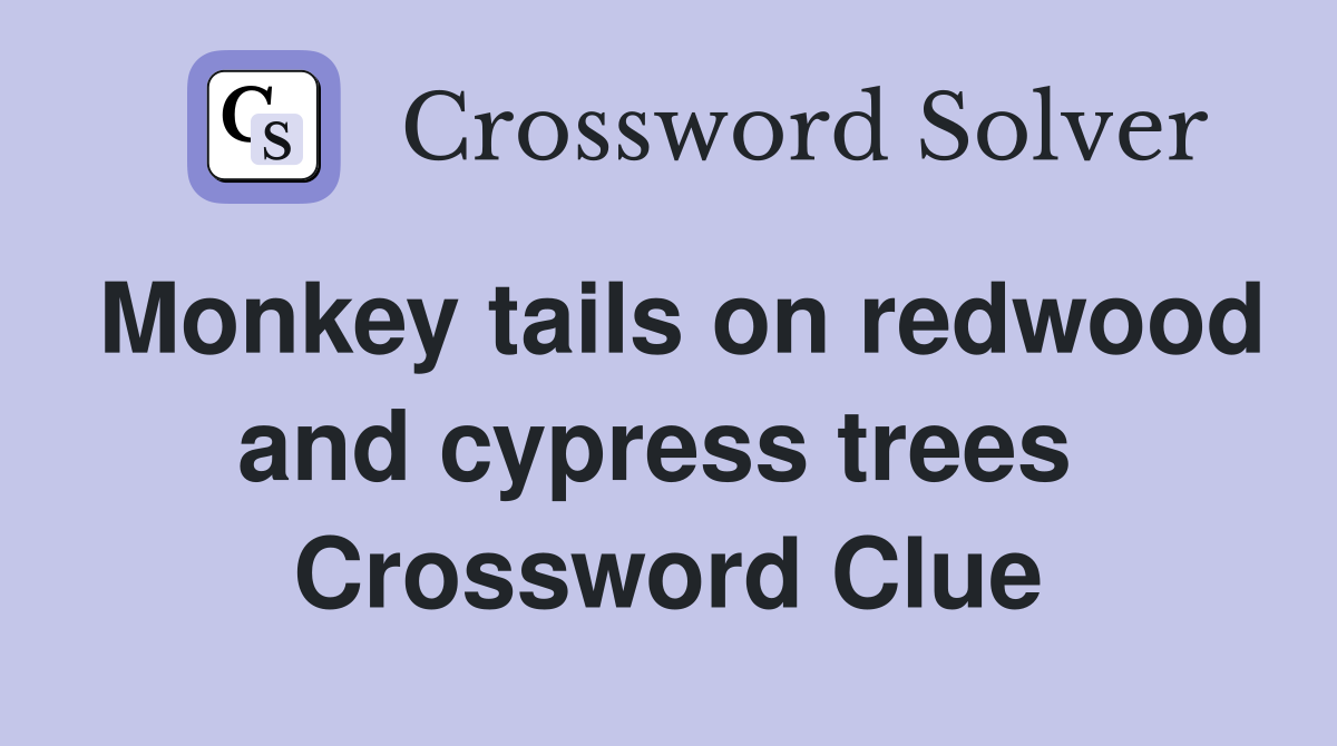 Monkey tails on redwood and cypress trees  Crossword Clue