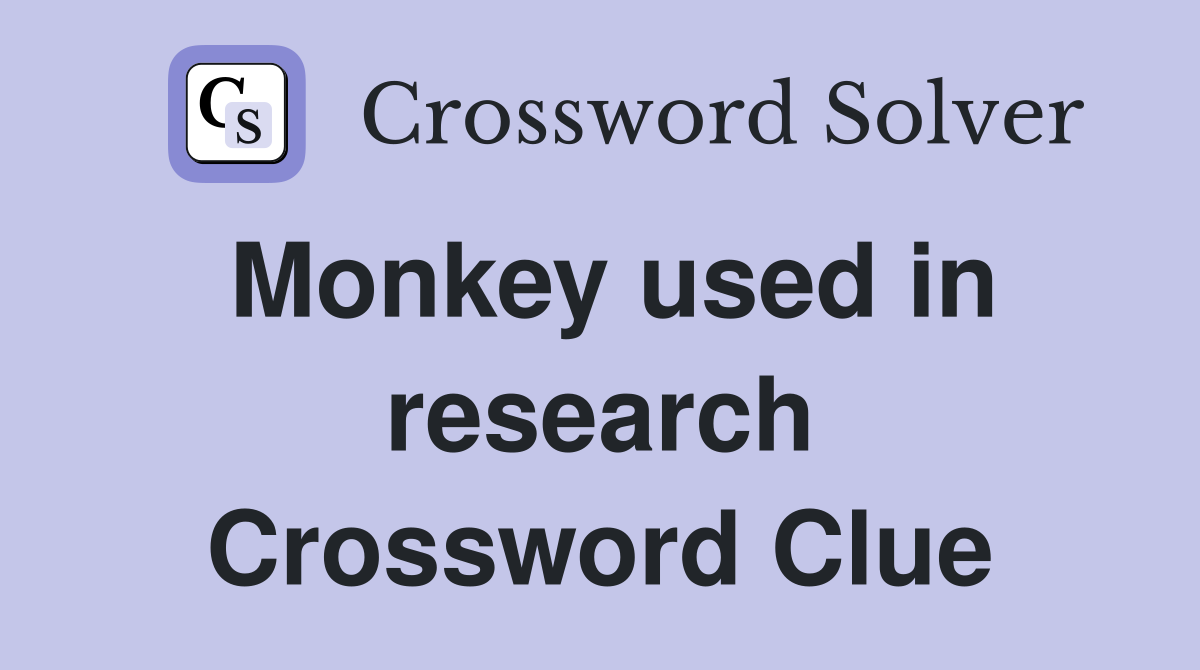 Monkey used in research Crossword Clue