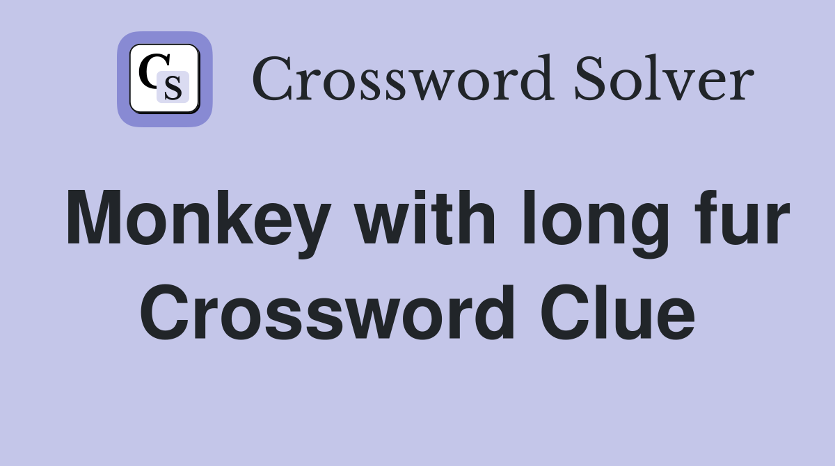 Monkey with long fur Crossword Clue