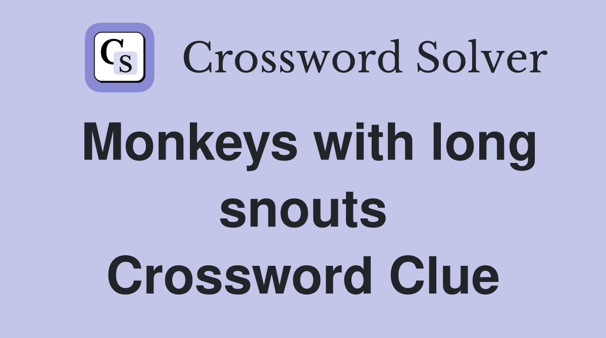 Monkeys with long snouts Crossword Clue