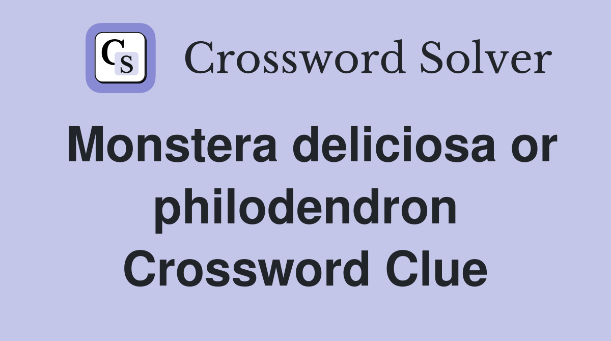 Monstera deliciosa or philodendron Crossword Clue