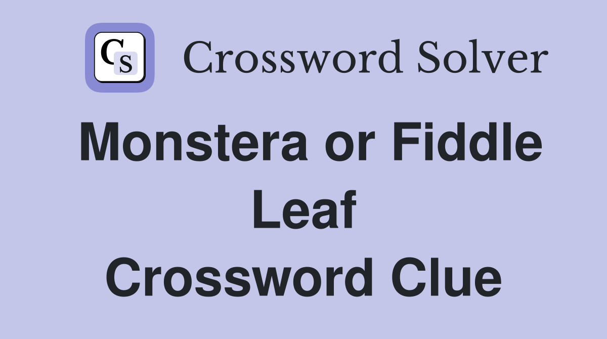 Monstera or Fiddle Leaf Crossword Clue