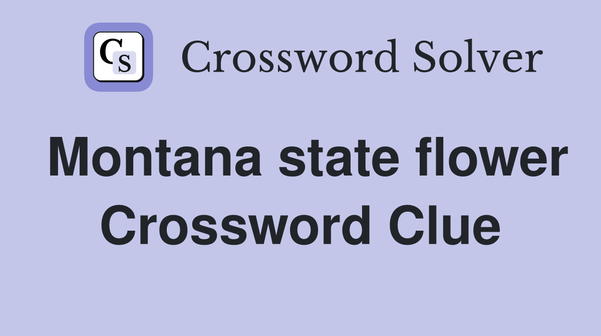 Montana state flower Crossword Clue