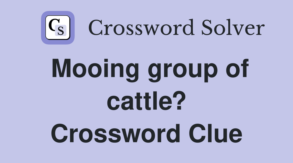 Mooing group of cattle? Crossword Clue