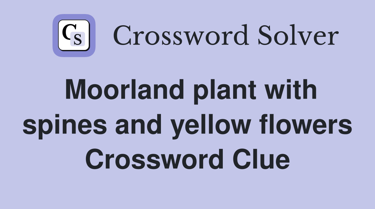 Moorland plant with spines and yellow flowers Crossword Clue