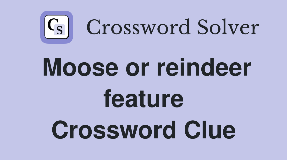Moose or reindeer feature Crossword Clue
