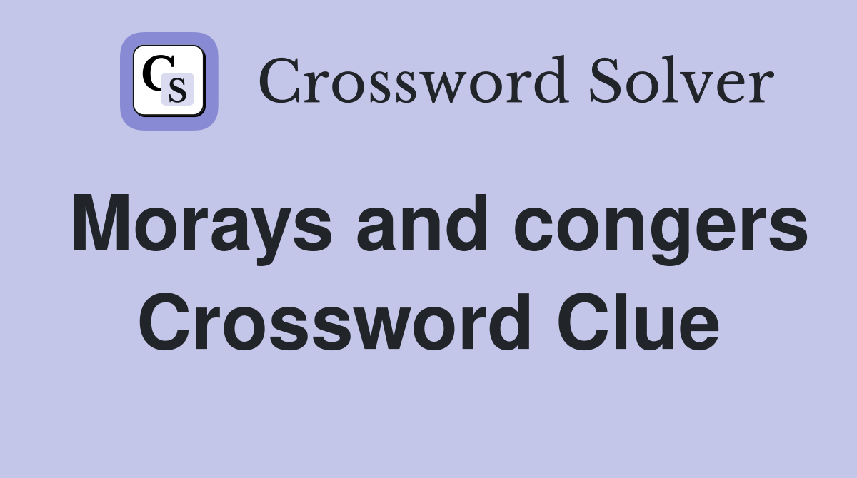 Morays and congers Crossword Clue