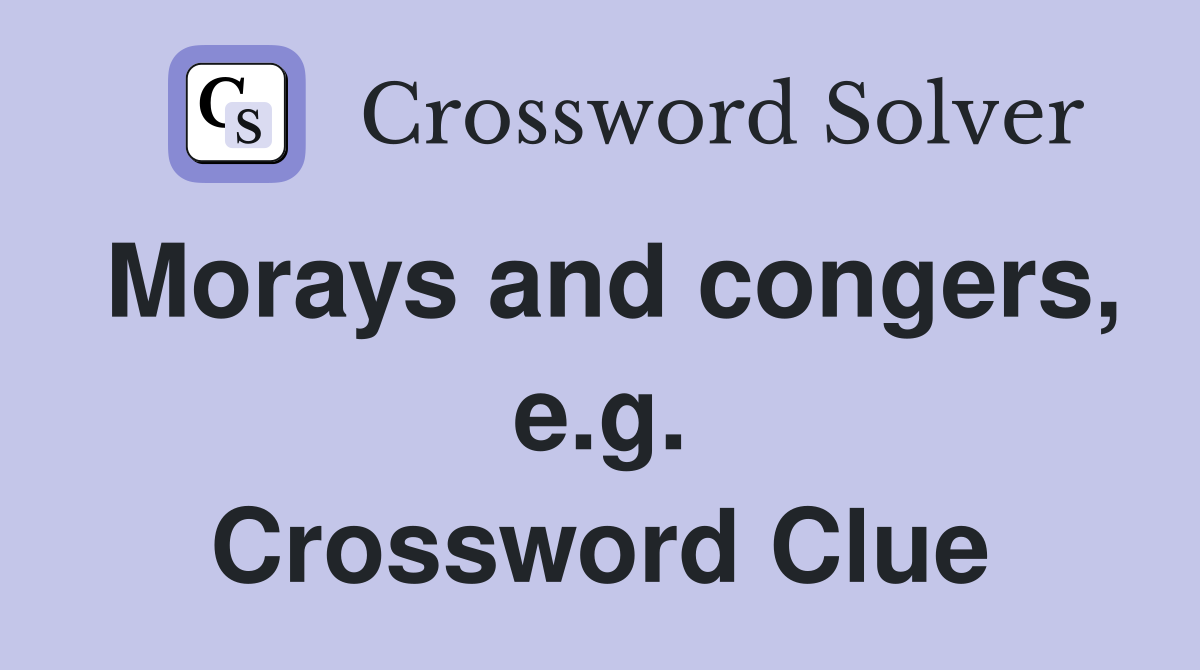 Morays and congers, e.g. Crossword Clue