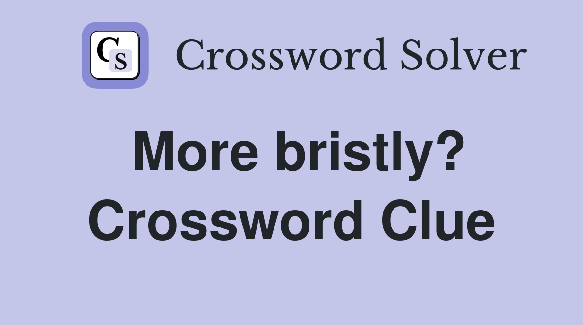 More bristly? Crossword Clue