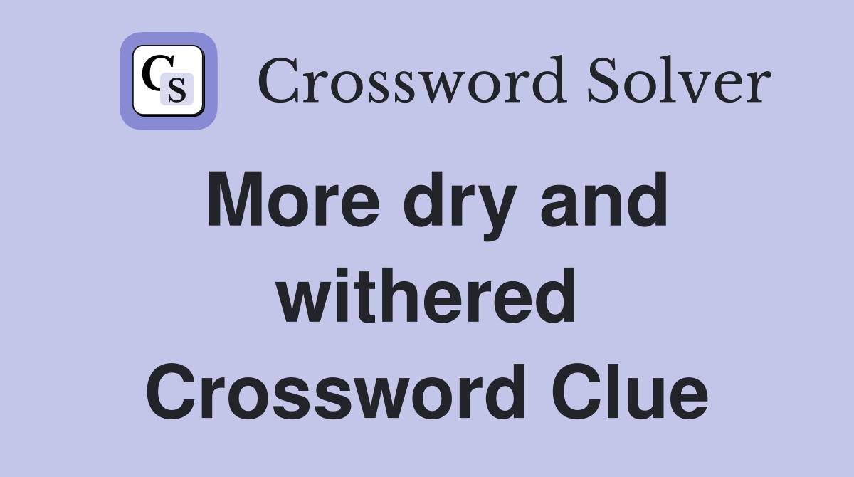 More dry and withered Crossword Clue