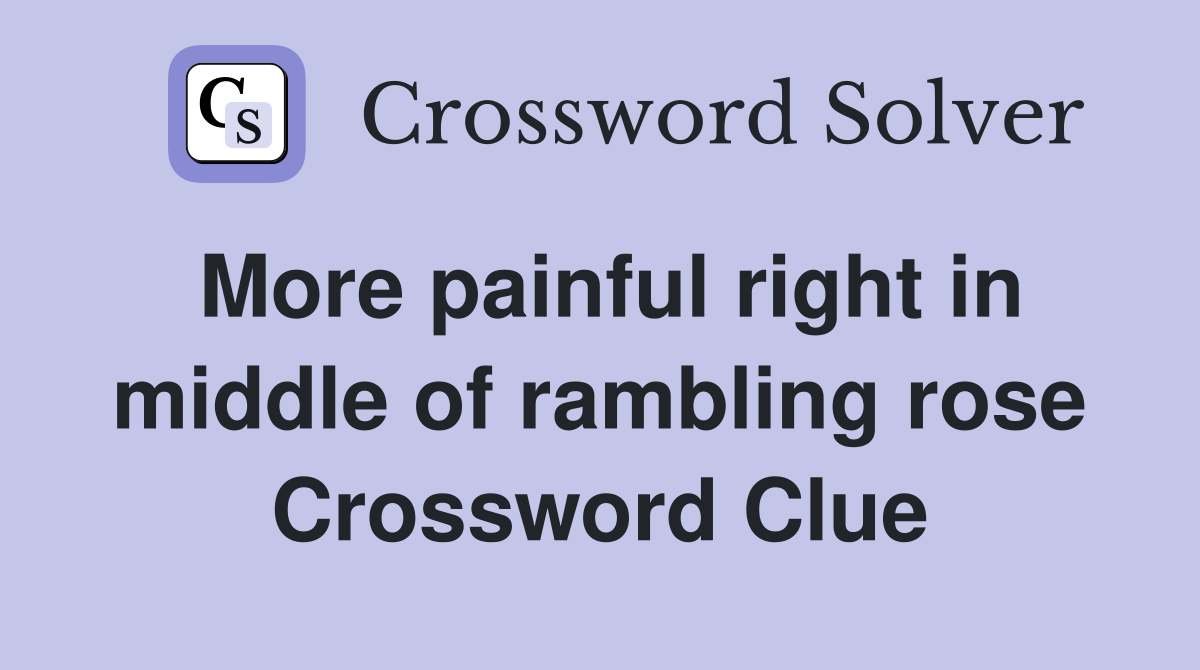 More painful right in middle of rambling rose Crossword Clue