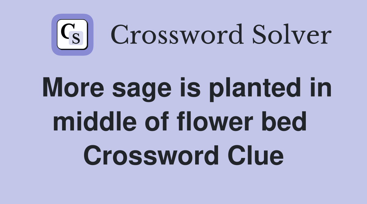 More sage is planted in middle of flower bed  Crossword Clue