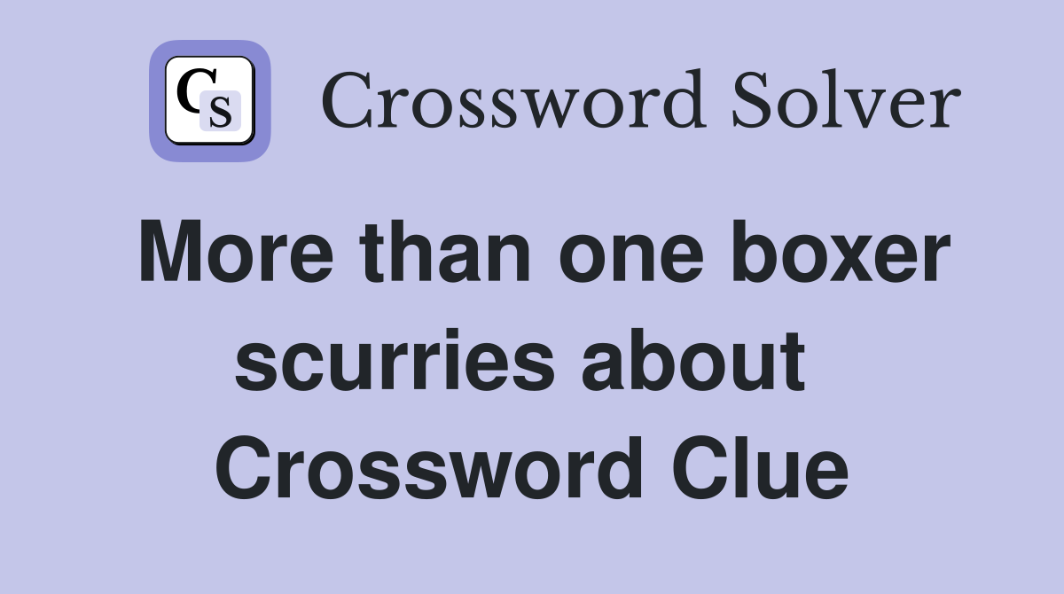 More than one boxer scurries about  Crossword Clue