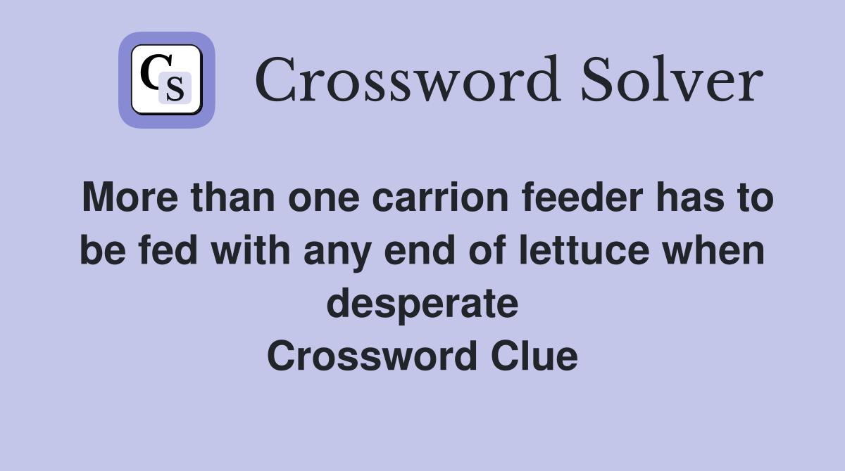 More than one carrion feeder has to be fed with any end of lettuce when desperate Crossword Clue