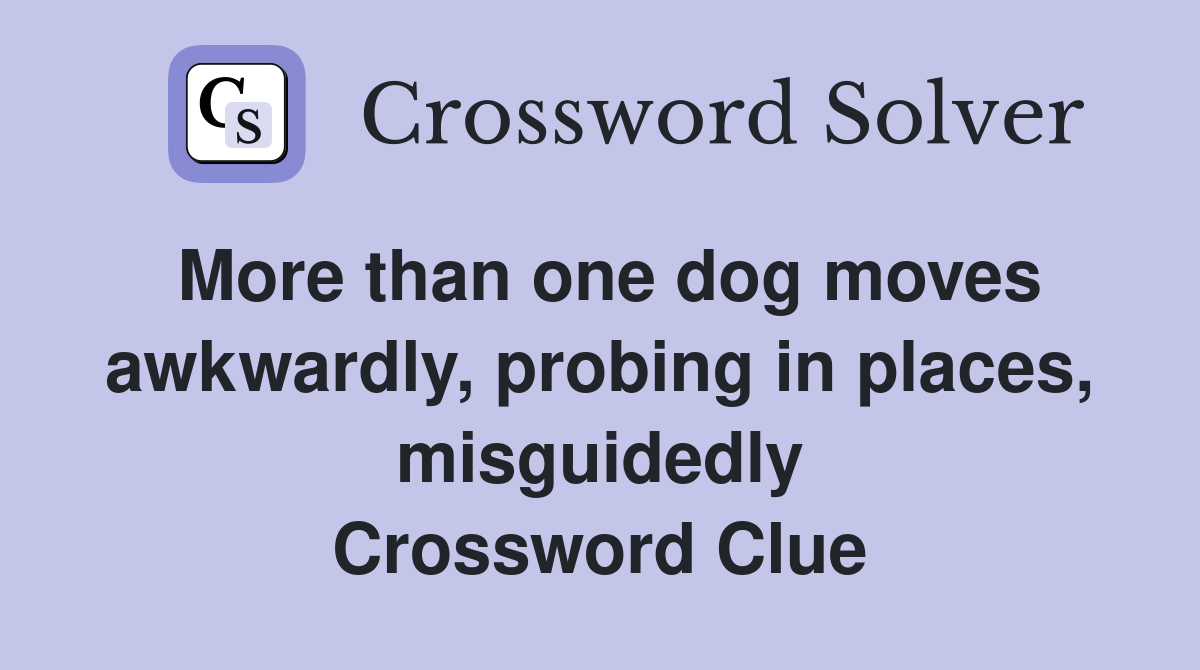 More than one dog moves awkwardly, probing in places, misguidedly Crossword Clue
