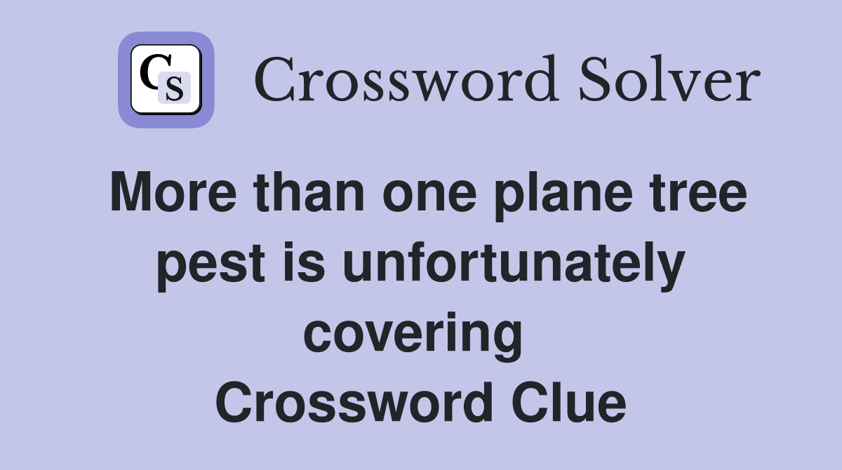 More than one plane tree pest is unfortunately covering  Crossword Clue