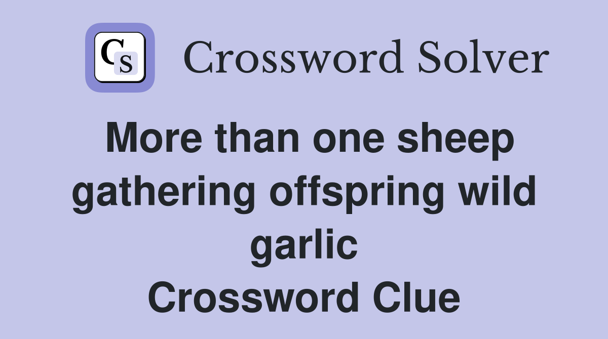 More than one sheep gathering offspring wild garlic Crossword Clue