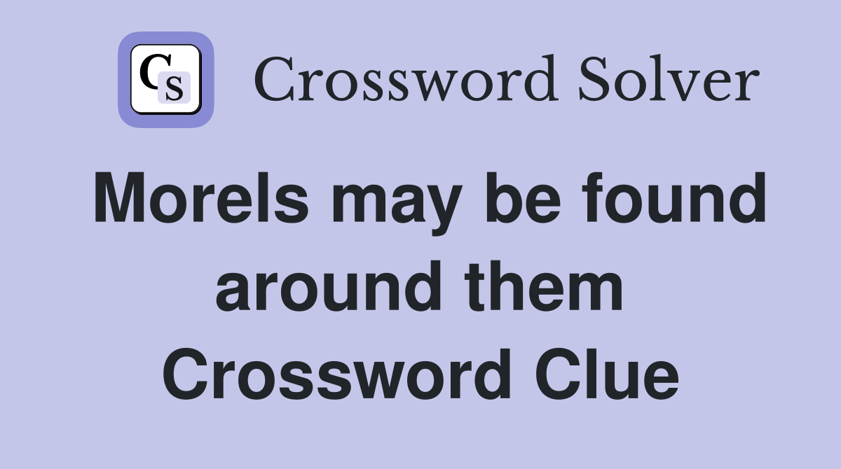 Morels may be found around them Crossword Clue