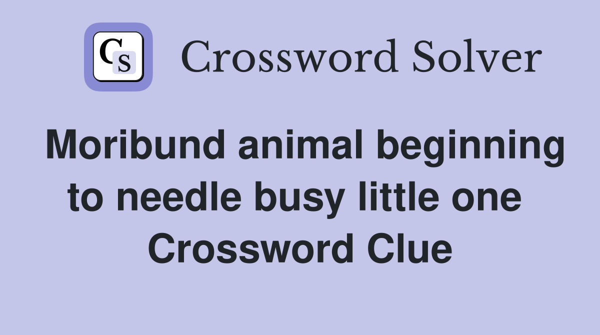 Moribund animal beginning to needle busy little one  Crossword Clue