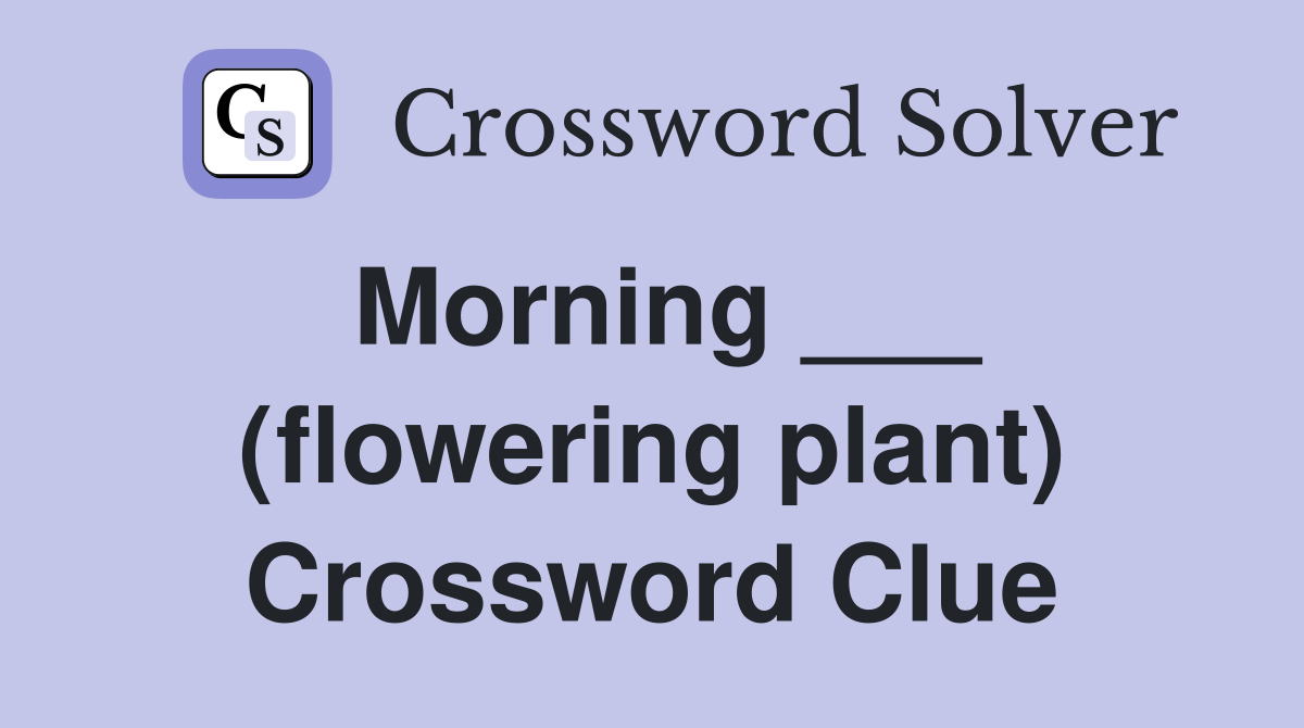 Morning ___ (flowering plant) Crossword Clue