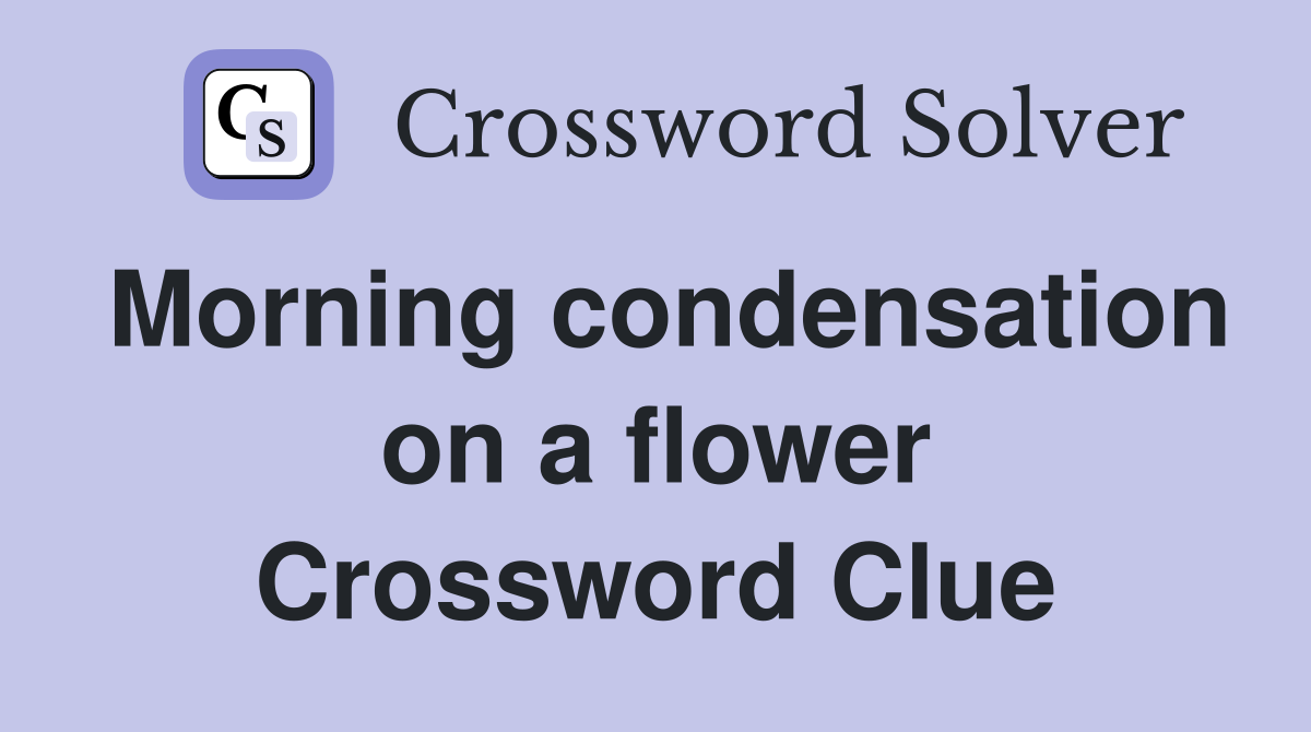 Morning condensation on a flower Crossword Clue