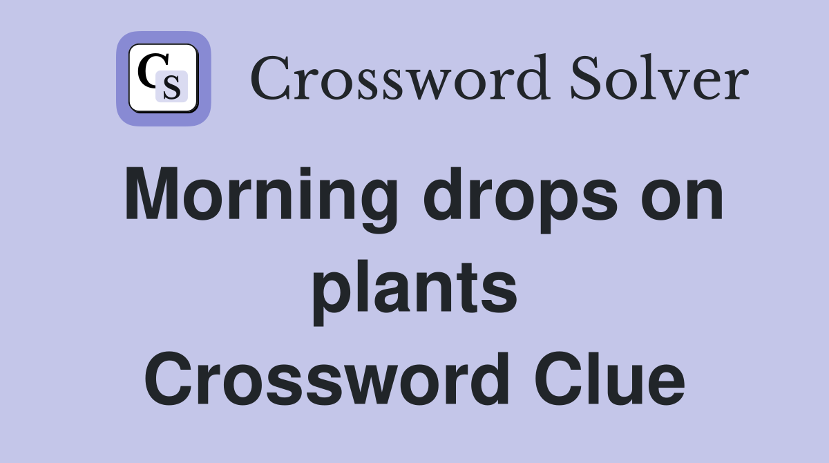 Morning drops on plants Crossword Clue