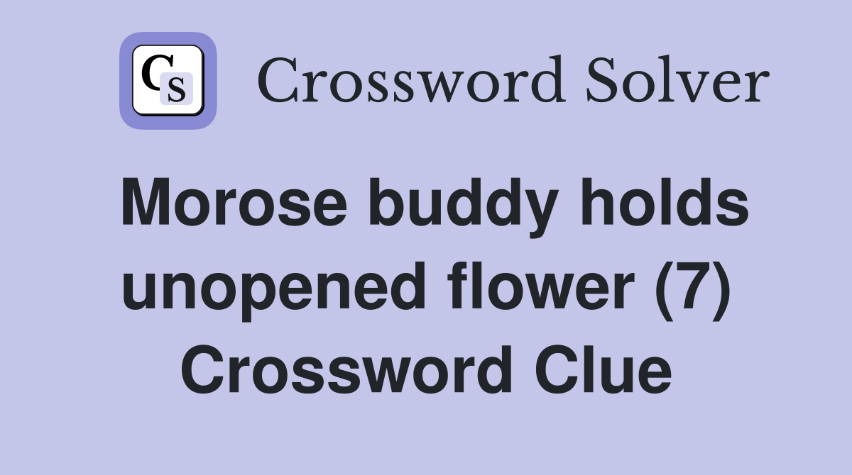 Morose buddy holds unopened flower (7) Crossword Clue